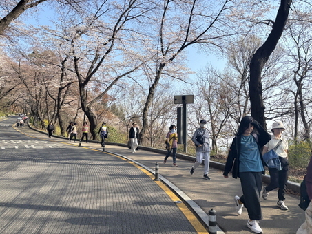 용산구“봄따라 남산길 걷자”스탬프 투어  참여하세요!