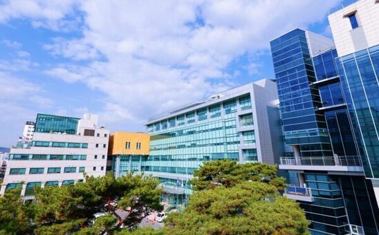 은평구, 2026 적극행정 실행 가이드라인 제작·배부