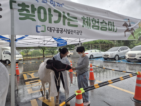 대구공공시설관리공단 대덕승마장, 찾아가는 체험 승마 실시