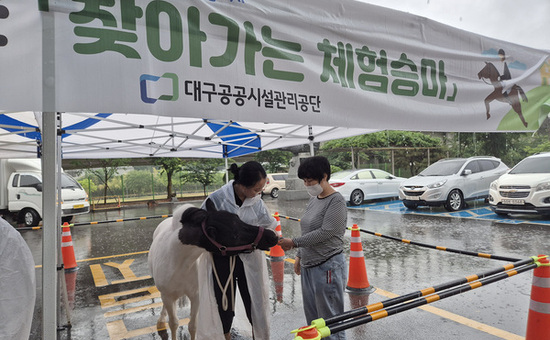 대구공공시설관리공단 대덕승마장, 찾아가는 체험 승마 실시
