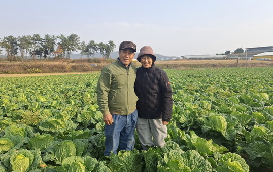 전남도, 12월 친환경농산물에 ’무안 배추‘