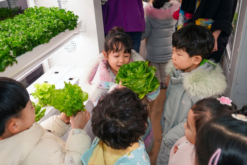 동대문구 스마트팜, 풍성한 첫 수확에 활짝 웃는 어린이들