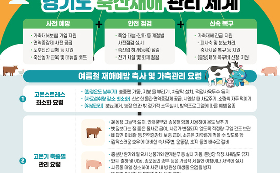 경기도, 축산농가 폭염 지금부터 대비한다…면역증강제 지원·현장점검 등