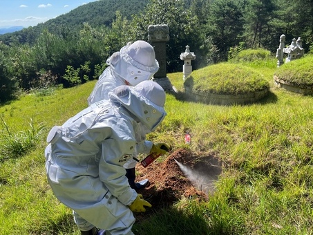 올 추석 벌쏘임 위험 최고조…벌초객 안전 비상