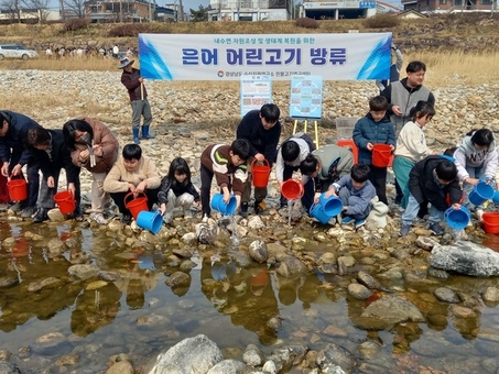 ‘은어 낚시의 성지’ 경호강 등 하천에  은어 10만 마리 방류