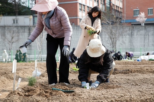 성동구, 도심 텃밭 503구획 분양... 도시 농부 도전하세요!