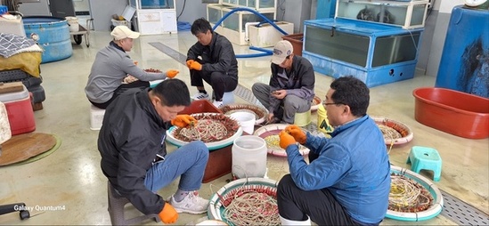 “귀어를 꿈꾸고 계신가요?”  경상남도 귀어학교 제17기 일반과정 모집
