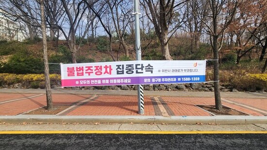중구, 남산 벚꽃길 불법주차 집중 단속