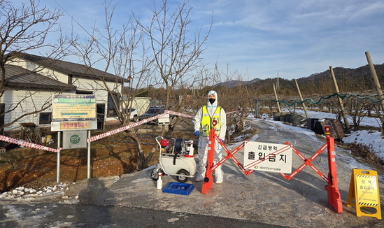 전남도, 나주 양돈농장 아프리카돼지열병…확산 차단 총력