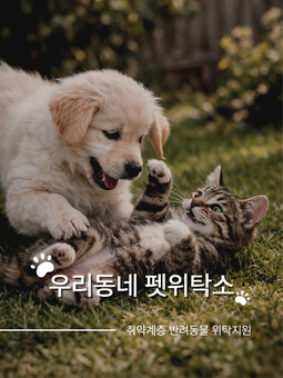 집 비울 때 반려동물 10일까지 돌봄 지원...강서구, '펫위탁소' 운영