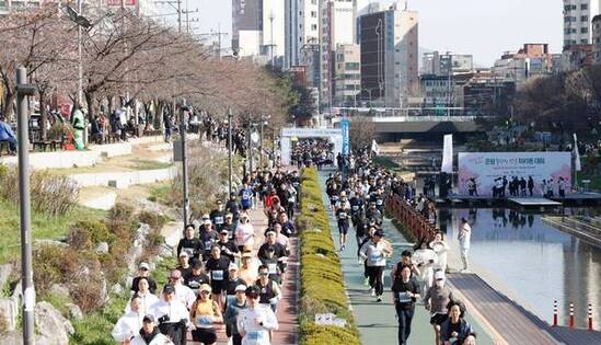 은평구, 2025 불광천 벚꽃 마라톤대회 개최