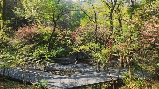 일상의 품격 높이는 남산자락숲길은 진화중!