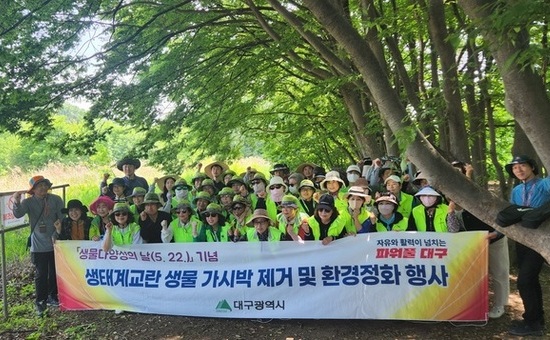 대구시, ‘생물다양성의 날’ 기념 달성습지 가시박 제거 나서