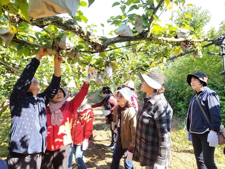 전남 여성농어업인 행복바우처 31일까지 사용하세요