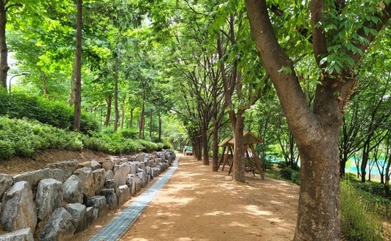 경기도, 용인 고기근린공원 등 노후 도시숲 13곳 리모델링 추진