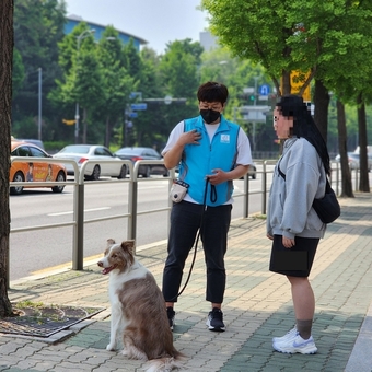 우리 강아지가 달라졌어요! 관악구, 찾아가는 반려동물 행동교정 교육 무료 진행