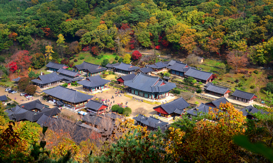  만추의 계절, 전남서 단풍길 걸으며 힐링하세요
