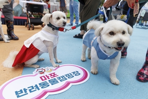 여행·출장 때 반려동물 맡기세요! 마포구, ‘ 우리동네 펫위탁소’ 운영