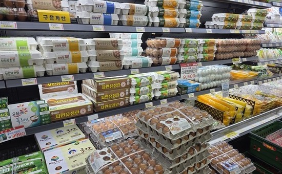 대구시, ‘식용란 살모넬라’ 집중 검사… 여름철 식중독 예방 총력