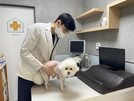 영등포구 광견병 예방접종, 반려동물 의료비 지원