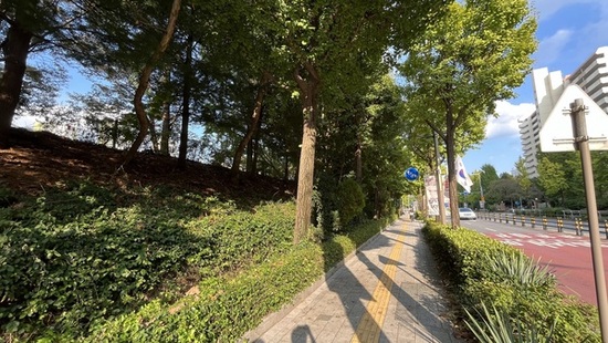 강동구,‘열린정원’조성으로 고덕로변 새 단장