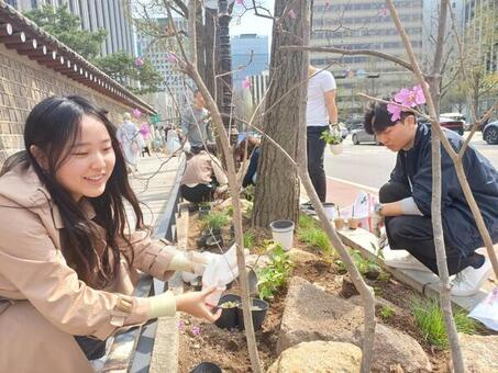 종로구, 무악동 야생화단지에 수국 심는다 ‘식목일 행사’