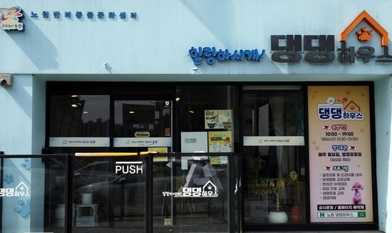 노원구, ‘힐링하시개! 댕댕하우스’반려견 교육프로그램 운영