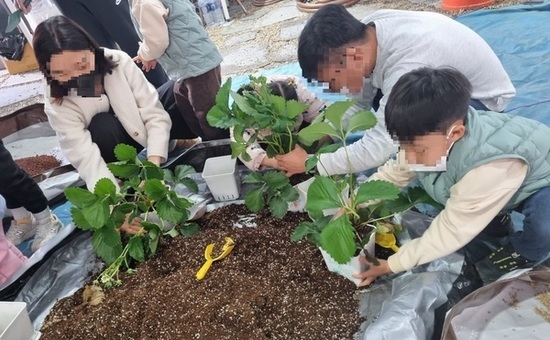 체험하고 힐링하고! ‘2026 도농상생 농업체험투어’ 운영