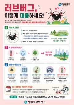 “서식지부터 원천 봉쇄”…  영등포구, 여름 불청객‘러브버그’ 미리 잡는다