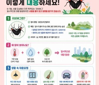 “서식지부터 원천 봉쇄”…  영등포구, 여름 불청객‘러브버그’ 미리 잡는다