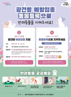 마포구, 반려가족을 지키는 봄철 필수 예방접종 시작
