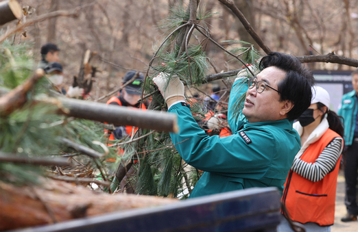 “산불 예방, 구민 안전!” 동작구, 임목 적치물 처리 속도전
