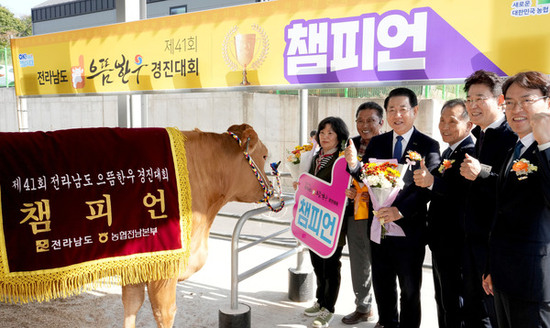 전남도 으뜸한우 경진서 조정화 농가 영예의 종합챔피언