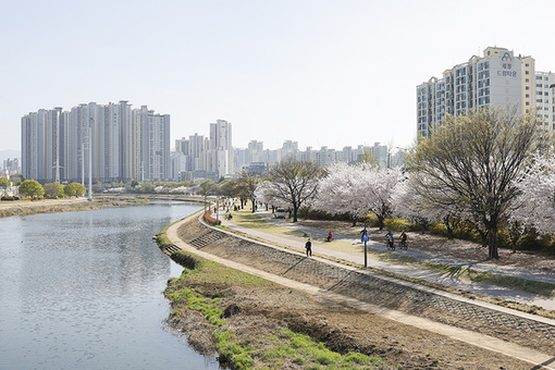 대구시, 고유가 시대 ‘자전거 이용’ 활성화 나선다