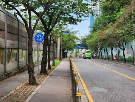 금천구, 봄바람 따라 넓어지는 벚꽃로... 벚꽃로 상습 정체 구간 확장 공사 착공  