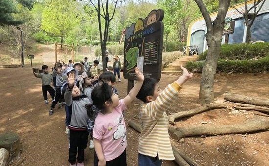 숲속이 배움터가 된다...마포구, 유아숲 체험 프로그램 운영