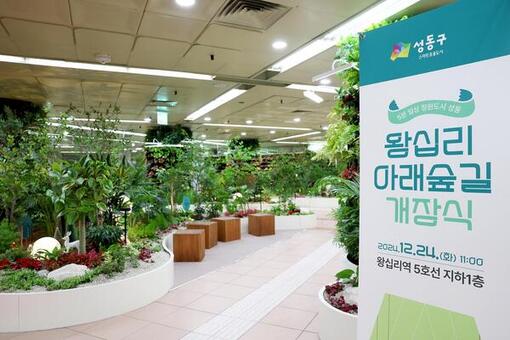 구미경 시의원, 서울시 지하공간 쉼터 ‘왕십리 아래숲길’개장 환영!