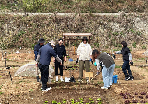 관악구, 농작물 기르며 지친 심신 챙긴다 치유농업 ‘청년 힐링팜’ 운영