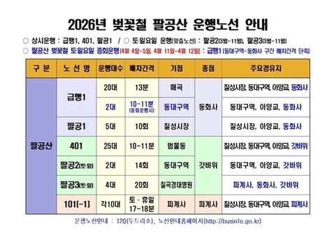 팔공산 벚꽃 나들이, 시내버스로 편하게 즐기세요!