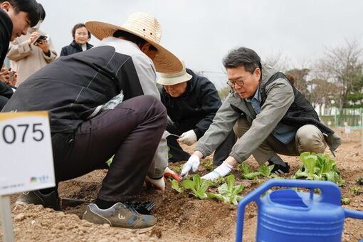 성동구, 상자 텃밭 보급…집에서 수확의 기쁨 누려요!