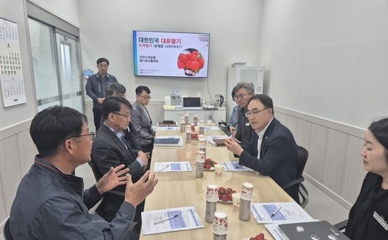 경남도, 진주 수출딸기 현장 점검... “수출환경 대응·경쟁력 강화 총력”
