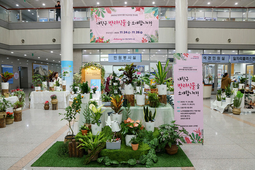 도봉구청 1층에서 돌봄 어르신이 가꾼 ‘반려식물’ 전시회 열려