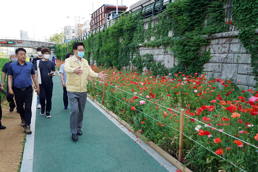 [포토] 유덕열 구청장, 성북천 둔치 산책로변 꽃밭 점검