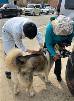 경기도, 공수의사 활동 지원 위한 수당 인상·상해보험 지원 확대