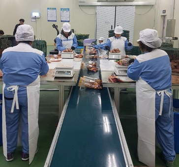 전남 친환경농산물, 경기도 학교급식에 공급