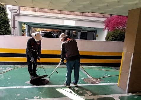 “겨울에도 모기가?” 마포구, 월동 모기 선제 대응에 나선다