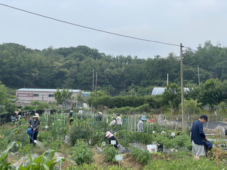 구로구, 2026년 주말농장 540구획 분양… 23일부터 신청 접수