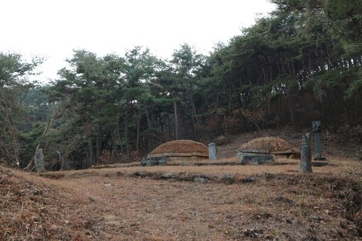 경남도, ‘함안 이오 부부 묘역’ 도 기념물 지정 예고