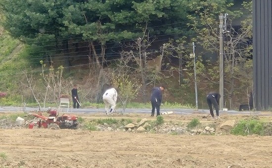 법무부 서울보호관찰소, 거동 불편 고령 농가 긴급 지원