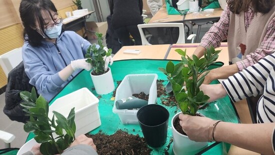 식물도 돌봄이 필요해요 강동구, 반려식물 클리닉 운영